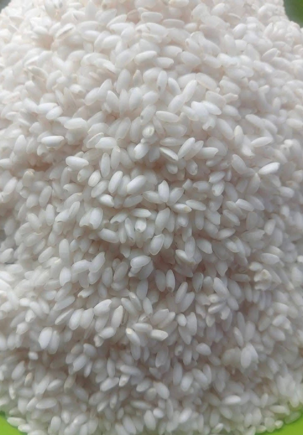ပေါ်ဆန်းမွှေး(ရိုးရိုး) _1 Bags(5kg) : 3200¥