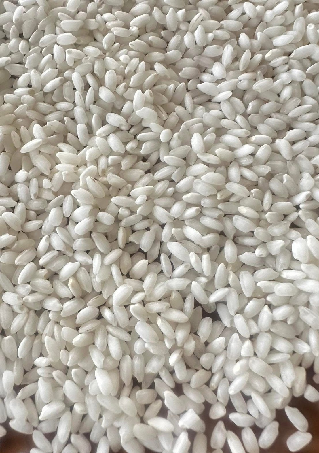 တောင်ပျံ(ပေါ်ဆန်းမွှေး) _ 1 Bag(5kg) : 3200¥
